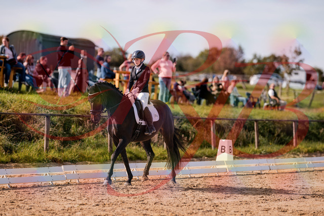 2026_10_03_Siefer-Hof_121629_Z81_19354076 | Professionelle Reitsport-, Turnier- und Eventfotografie von Robert Broda. Galerien mit ausgewählten und bearbeiteten Bildern direkt online ansehen und bestellen.