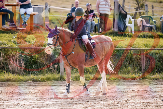 2026_10_03_Siefer-Hof_144530_Z81_21054182 | Professionelle Reitsport-, Turnier- und Eventfotografie von Robert Broda. Galerien mit ausgewählten und bearbeiteten Bildern direkt online ansehen und bestellen.