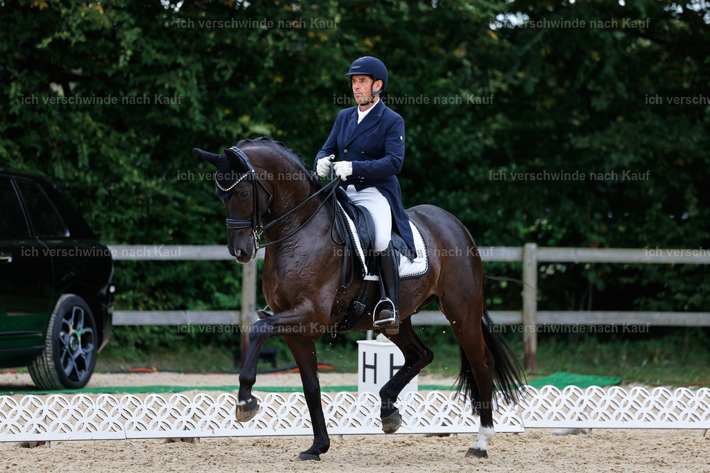 11-058-Dressur S___-StoibPH-1465 | working equitationturnier fotograf videograf stoibphotography marixx film working equitation deutschland reitsport turnierfotografie eventfotografie equestrian events