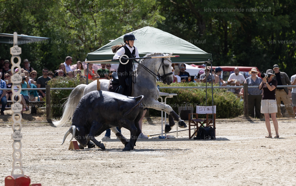 WM_Speed_YR_133_KerstinBernhardt-3 | working equitationturnier fotograf videograf stoibphotography marixx film working equitation deutschland reitsport turnierfotografie eventfotografie equestrian events