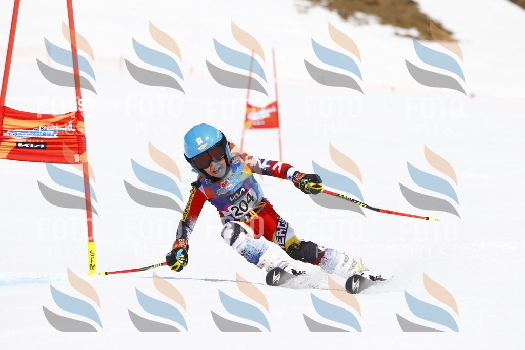 _U3G5301 | holidayphoto