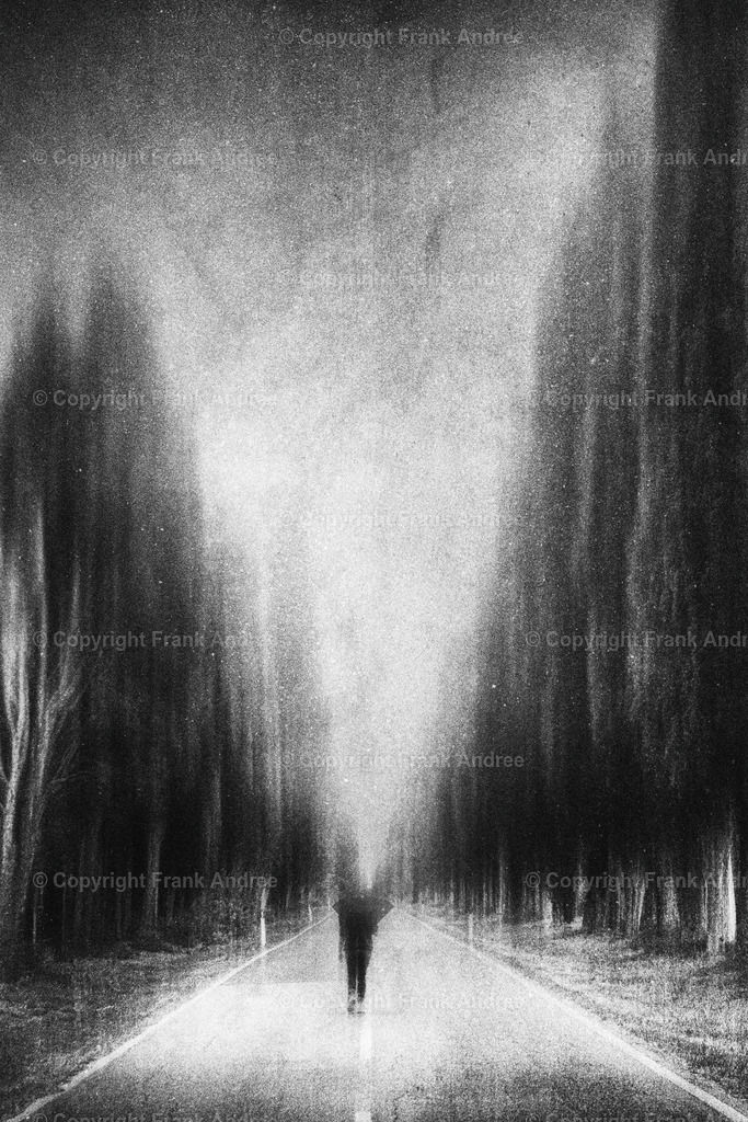 Regen in der Toskana | Ein regnerischer Tag in der Toskana. Eine Frau geht allein mit Regenschirm in der Hand auf der Zypressenallee von Bolgheri in der Toskana. Straßenfotografie aus Italien in schwarz und weiß. - Realisiert mit Pictrs.com