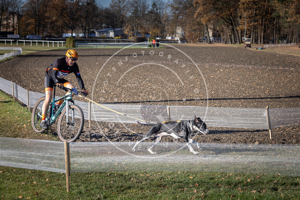 CaniXpix_DV3A5662 | Hundefotografie, Tierfotograf, Pfotenfotografie, Fotoshooting Hund, Hunde Portrait, Hundesport, Hundeportraits, Heideshooting, Hunde, Sportfotograf, Hundefotograf, Turnierhundsport, THS,  - Realisiert mit Pictrs.com