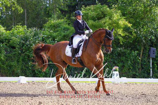 DKP41607 | Turnierfotos kaufen im Webshop von Daniel Kuhl Photography – entdecke professionelle Reitsportfotos aus Turnieren & Events. Hochwertige Turnierbilder online bestellen & sichern. Jetzt Fotos von Reitsportturnieren kaufen!