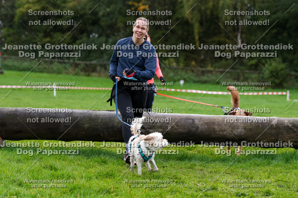 Dog Paparazzi -  SD1026-1211 | Dog Paparazzi Jeanette Grottendiek Fotografie & Videografie - Realisiert mit Pictrs.com