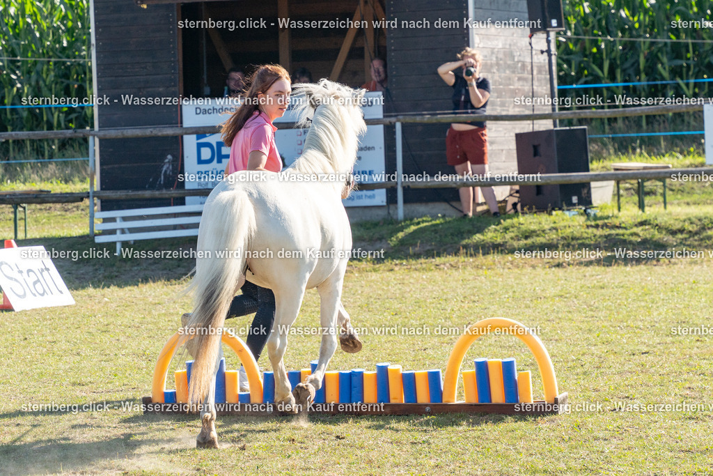 2026-08-08_16-11-03_WBO_Pulsnitz | sternberg.click - Realisiert mit Pictrs.com