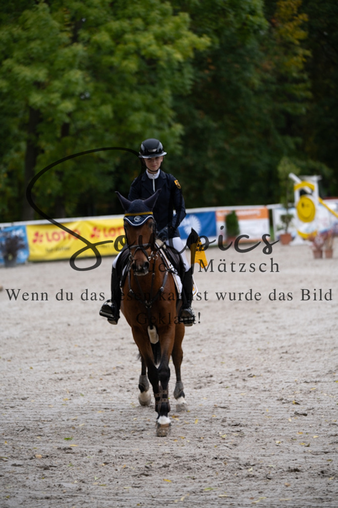 A7V01108 | Pferdefotograf