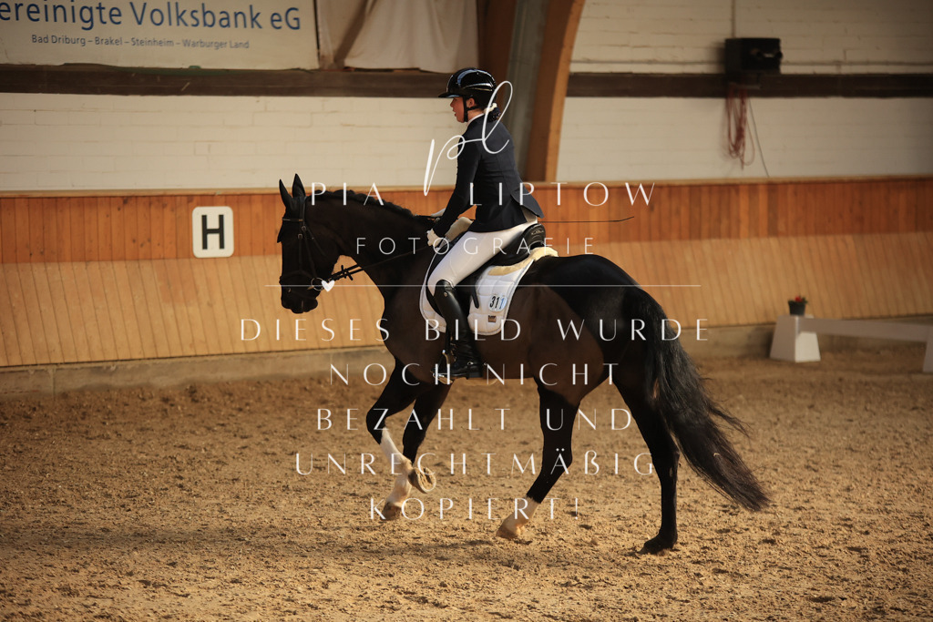 IMGT4242 | pl-fotografie