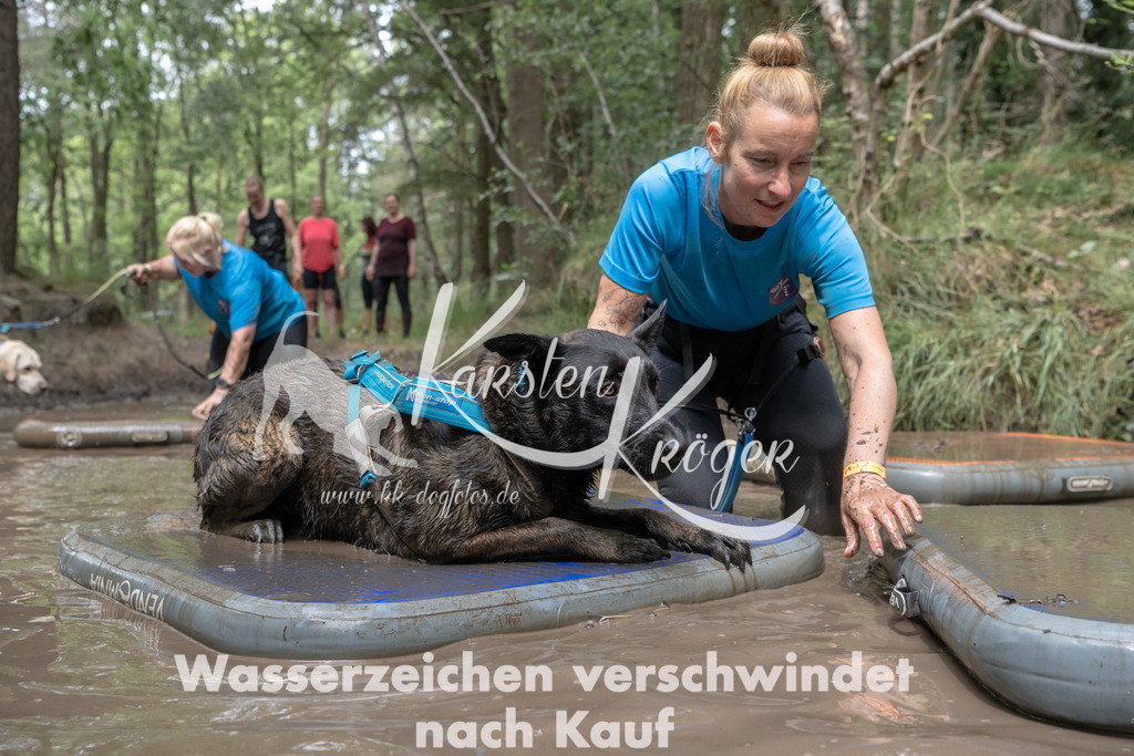 1332_ZZ94458 | kk-dogfotos