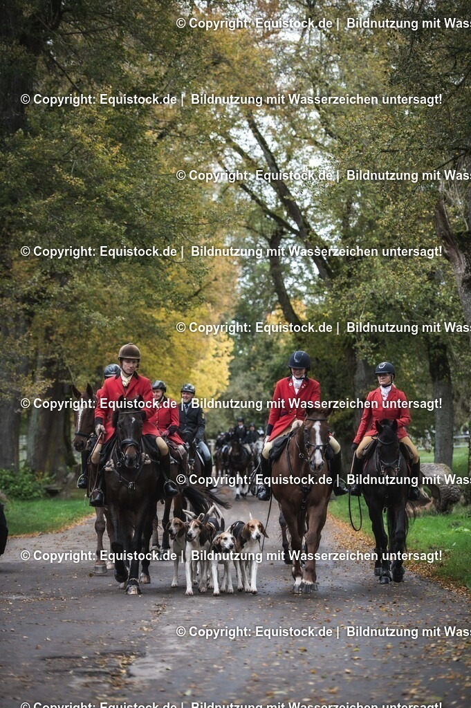 20241013_Jagd-Marbach_0492 | Foto: Thomas Hartig