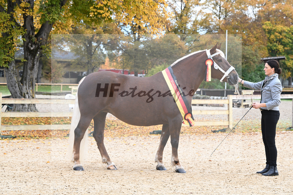 Kat-Nr. 85 Monarchin_Bachmair_53222986 | hf-fotografie - Realisiert mit Pictrs.com