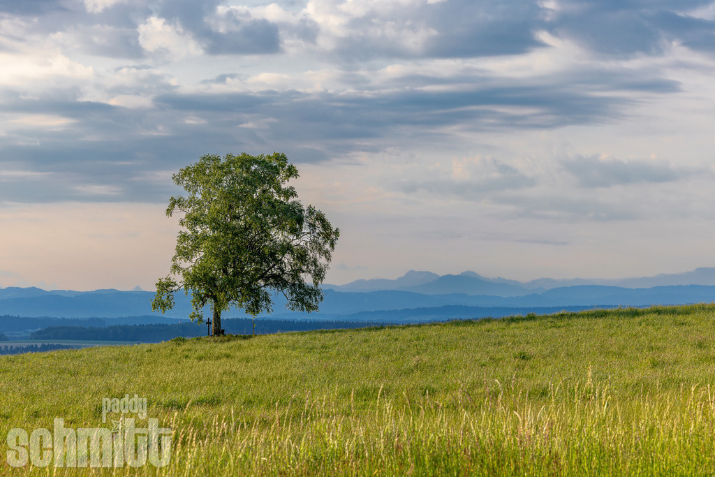 PS-Natur-2026-125 | Entdecke die größte Bildgalerie der Region mit Fotografien aus dem Allgäu, der Bodenseeregion, Oberschwaben, dem Donautal und der Schwäbischen Alb. Landschaften, Luftaufnahmen und Reisefotografie als Wandbild und Fotokunst. - Realisiert mit Pictrs.com