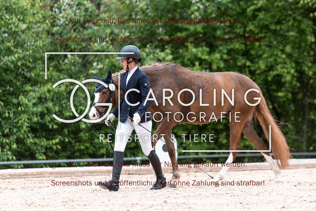 DSC_6784 | Turnierfotografin Carolin Gieschke,Reitsport Turnierfotografie Carolin G Fotografie | Turnierfotos aus Kirchheim/Teck, Esslingen, Stuttgart und dem Bodenseekreis