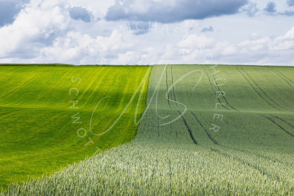 2025-06-15 Hemmingen Felder 013 | Schwotte Media - Realisiert mit Pictrs.com