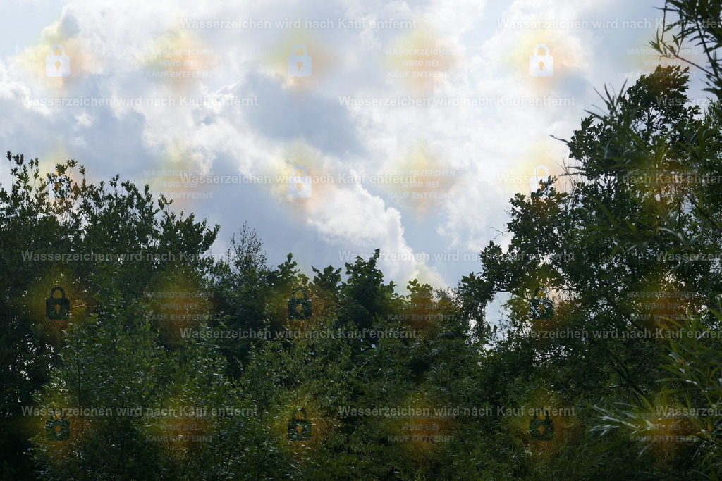 P1110018 | Fotoseite Wolkenblende - Das Hobby fotografieren begleitet mich schon  viele  Jahre. Auf den nächsten Seiten zeige ich ein paar Schnappschüsse der letzten Jahre und es kommen immer neue hinzu. Schau einfach mal rein. - Realisiert mit Pictrs.com