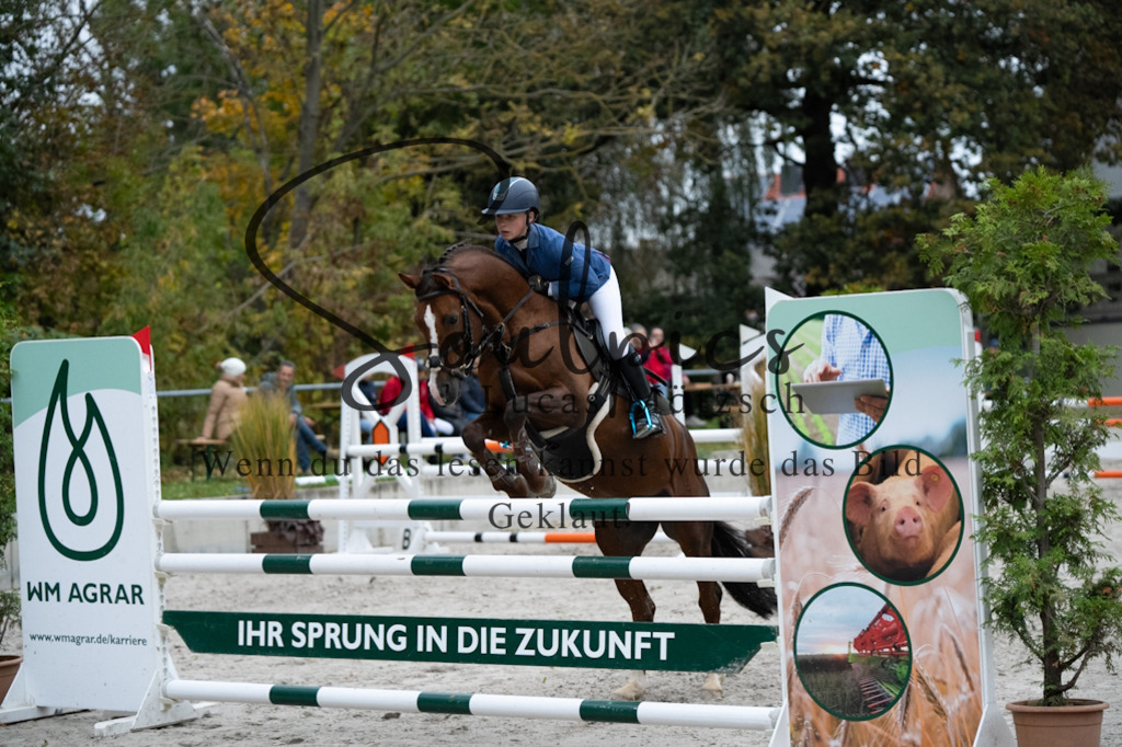A7V08827 | Turnier/Reitfotograf