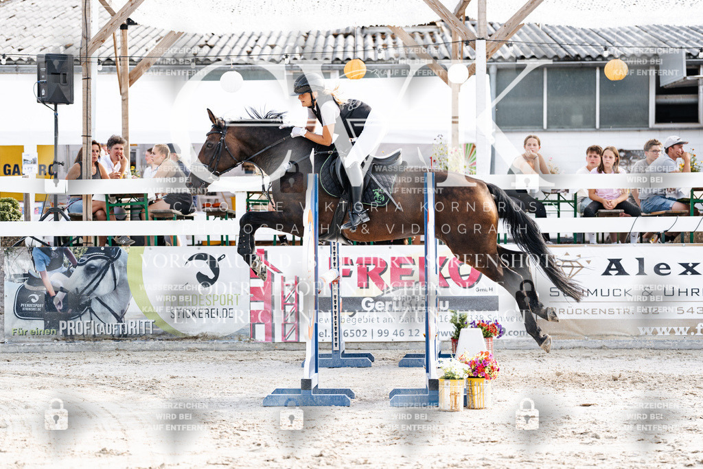 CK906146 | Turnierfotografie Pferdefotografie Trier Rheinland-Pfalz Pferdesport Reitsport Tierfotografie Sportfotografie Pferdevideo Pferdevideografie Equestrianvideography equestrianphotography  - Realisiert mit Pictrs.com