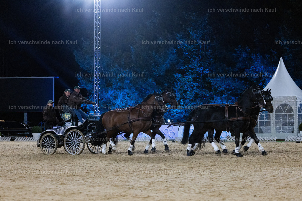 FHClassics-268 | working equitationturnier fotograf videograf stoibphotography marixx film working equitation deutschland reitsport turnierfotografie eventfotografie equestrian events