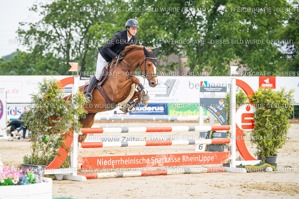 DSC08795 | Pferdegrafie