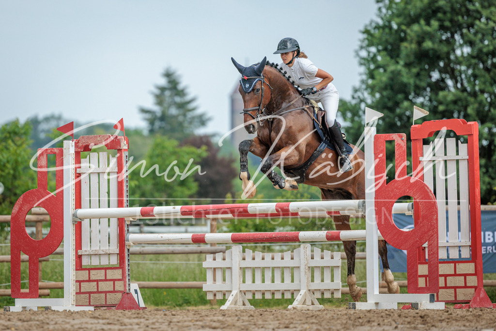 20260530-_3LI2925 | Tierfotografie Pferde, Hunde, Katzen, Haustiere.
Turnierfotografie Reitturniere, Reiten, Springreiten, Dressur in Hanau, dem Main-Kinzig-Kreis und dem Rhein-Main- Gebiet um Frankfurt