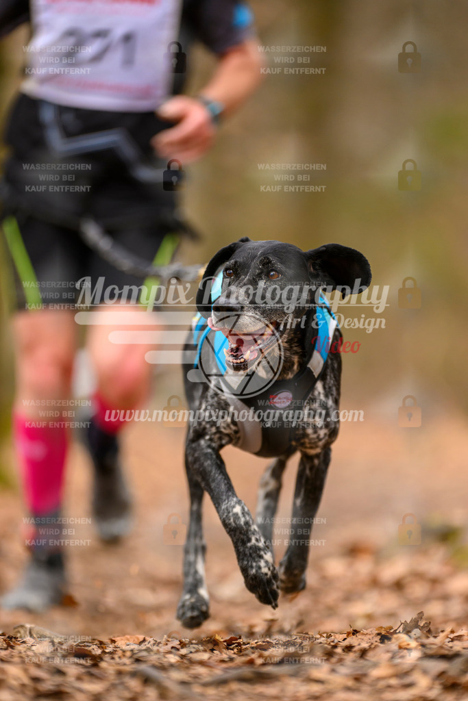 MompixPhotography_Habay2025_SA_CCC-58 | PayLife