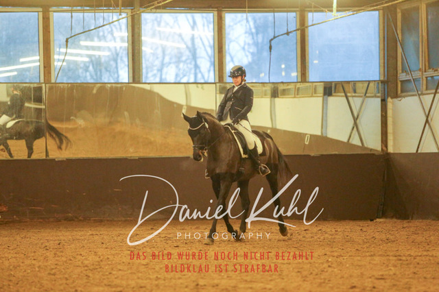 IMG_8309 | Turniersportfotografie; Pferdefotografie; Dressurfotografie