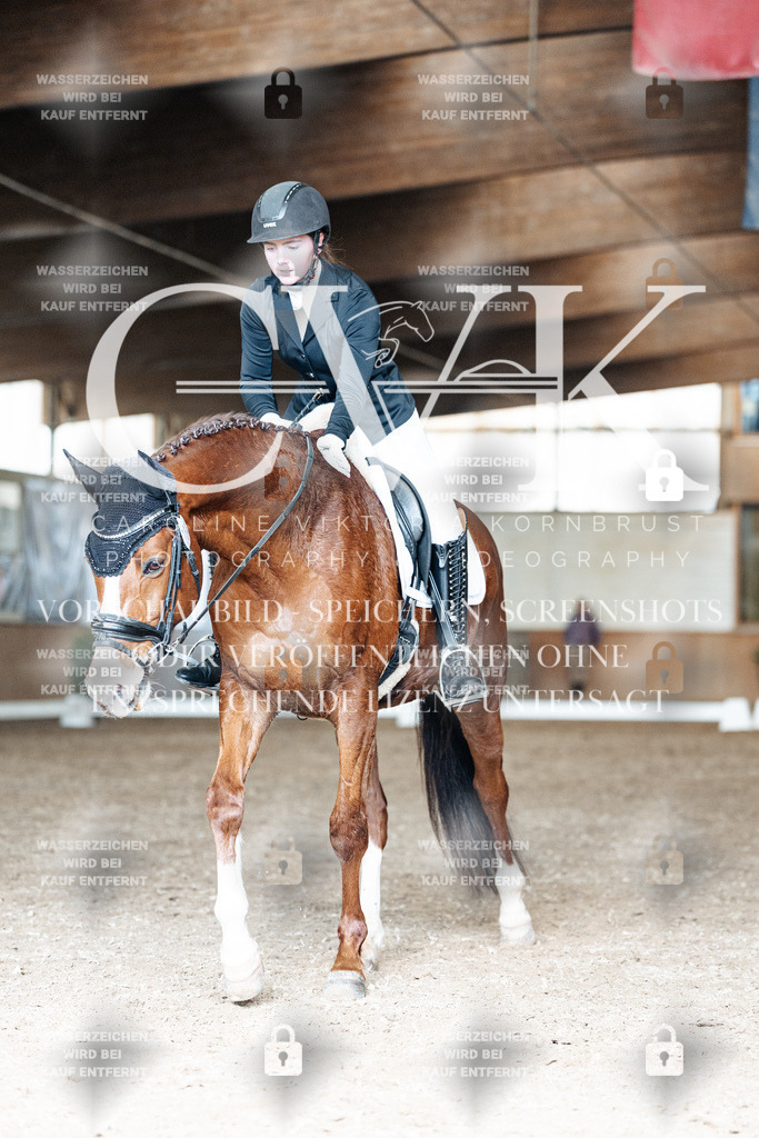 CK901749 | Turnierfotografie Pferdefotografie Trier Rheinland-Pfalz Pferdesport Reitsport Tierfotografie Sportfotografie Pferdevideo Pferdevideografie Equestrianvideography equestrianphotography  - Realisiert mit Pictrs.com
