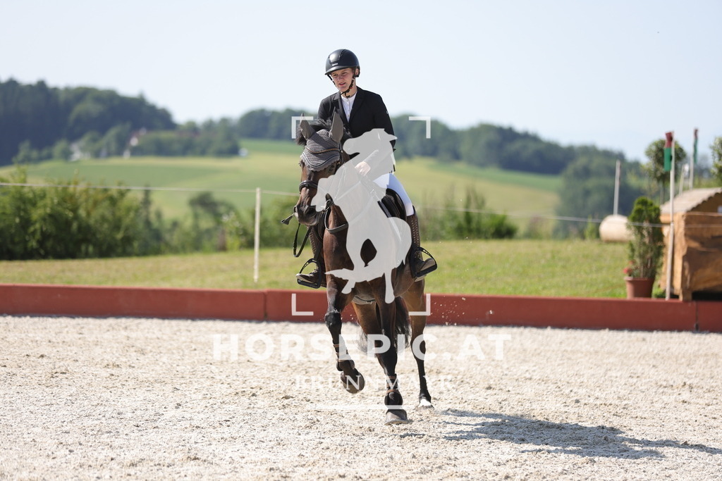 0P6A7654 | Willkommen bei Brunnmayr - Design & Fotografie – Ihrem Spezialisten für Reitturniere und Pferdeveranstaltungen in Oberösterreich, Salzburg und Bayern! Seit über 17 Jahren sind wir leidenschaftlich dabei.