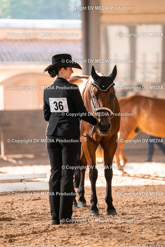 LM Heiligenwald Tag 1-13 | dv-media-shop - Realisiert mit Pictrs.com