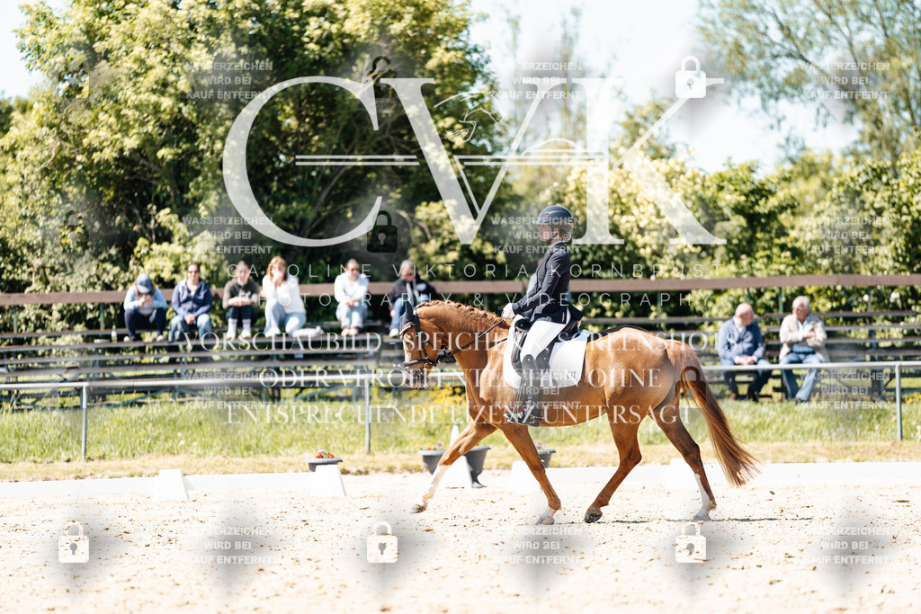 CK905663 | Turnierfotografie Pferdefotografie Trier Rheinland-Pfalz Pferdesport Reitsport Tierfotografie Sportfotografie Pferdevideo Pferdevideografie Equestrianvideography equestrianphotography  - Realisiert mit Pictrs.com