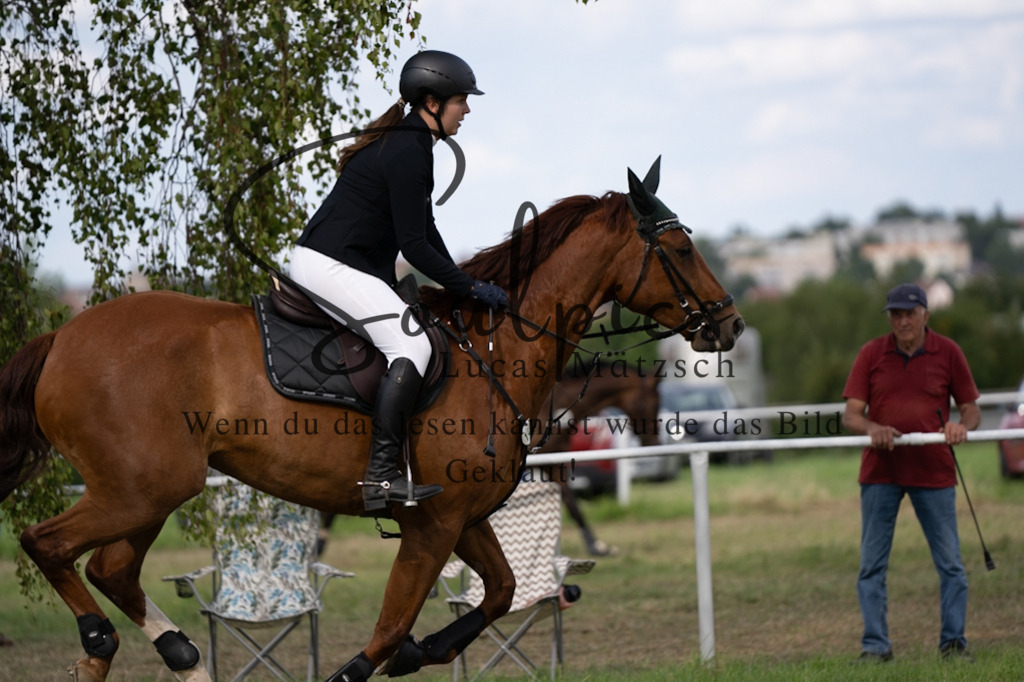 A7V04847 | Turnier/Reitfotograf