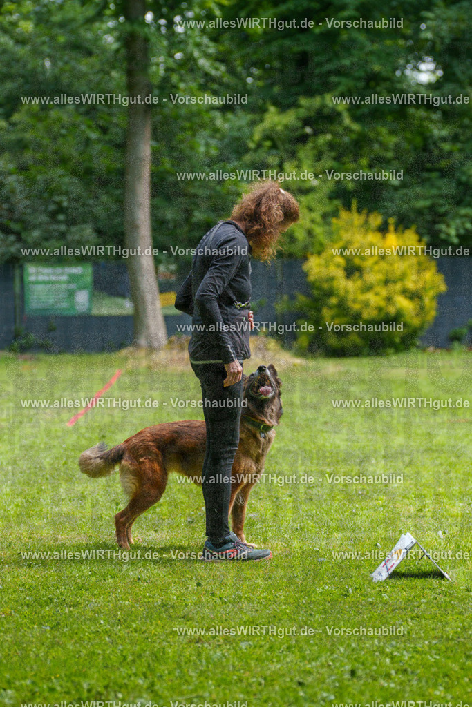 @allesWIRTHgut_Tierfotografie - www.allesWIRTHgut.de - 7R503760 | Professionelle Tierfotografie in Mönchengladbach von Daniel Wirth (allesWIRTHgut). Liebevolle & natürliche Bilder von Hunden & Katzen für unvergessliche Erinnerungen.