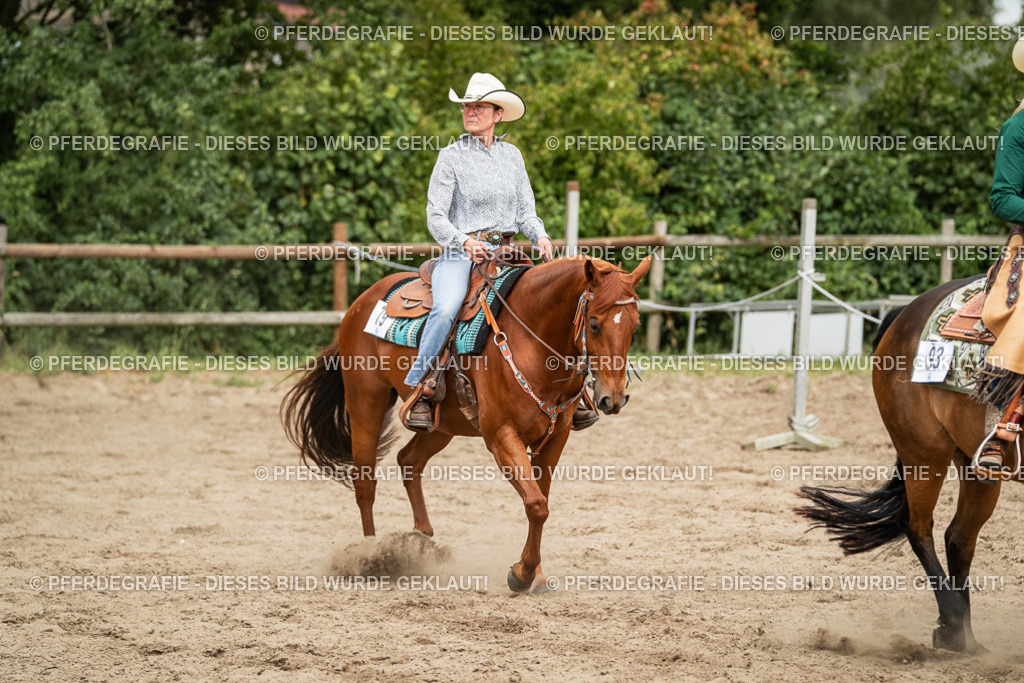 DSC03396 | Pferdegrafie