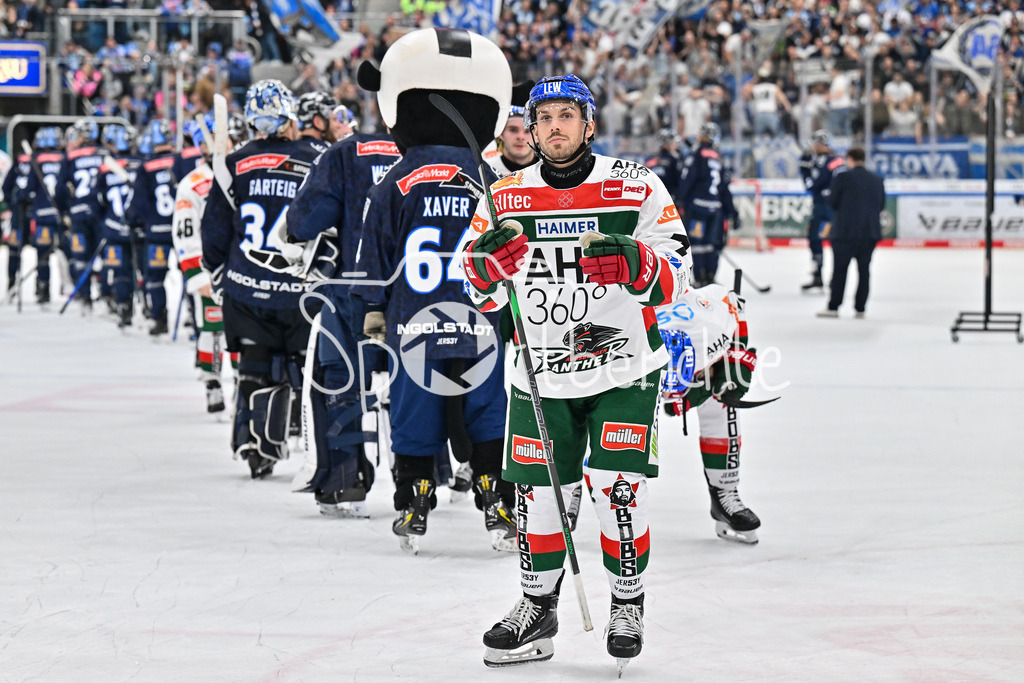 ERC Ingolstadt - Augsburger Panther | Nach der Niederlage in Ingolstadt bedankt sich Luca TOSTO (Augsburger Panther #77) bei den mitgereisten Fans / Traurig / niedergeschlagen / DEL: ERC Ingolstadt - Augsburger Panther, Saturn Arena am 03.11.2024