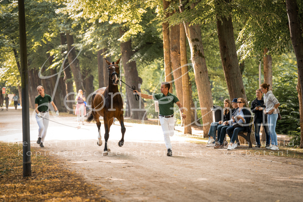 FrPfM00007 | Leoni Ertmer Photography - Realisiert mit Pictrs.com