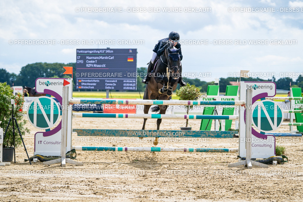 DSC05663 | Pferdegrafie