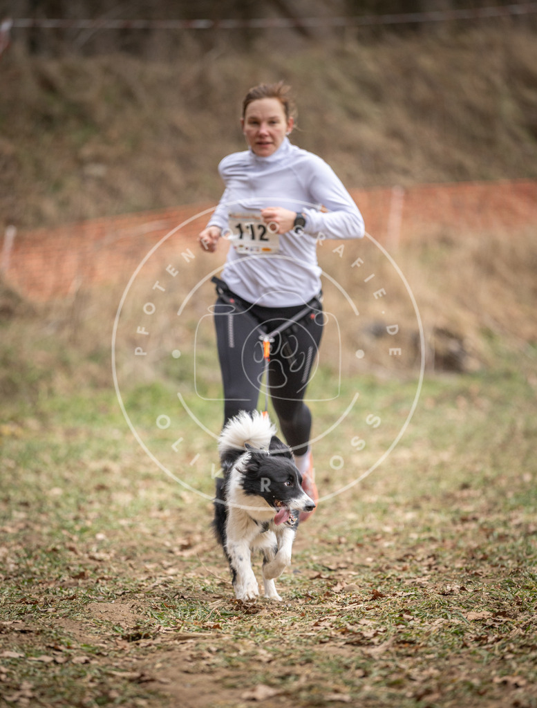 Pfotenfotografie_DV3A7552 | Hundefotografie, Tierfotograf, Pfotenfotografie, Fotoshooting Hund, Hunde Portrait, Hundesport, Hundeportraits, Heideshooting, Hunde, Sportfotograf, Hundefotograf, Turnierhundsport, THS,  - Realisiert mit Pictrs.com