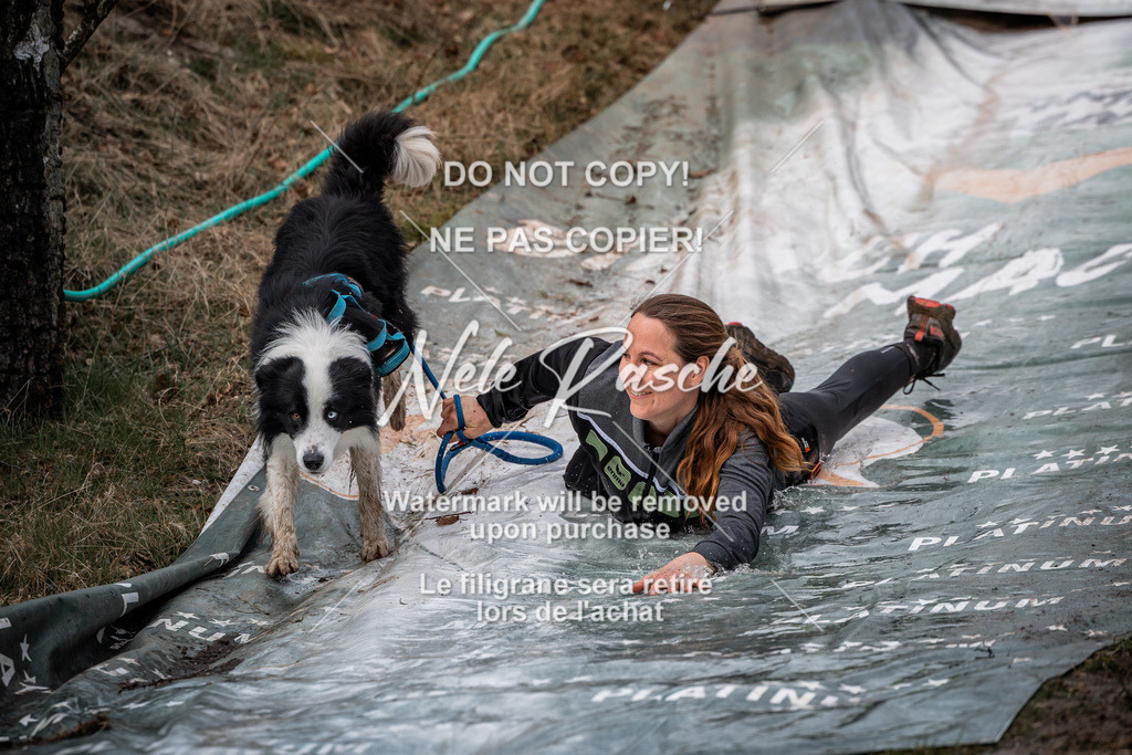 nelerasche_1330-1400_238 | nelerasche
