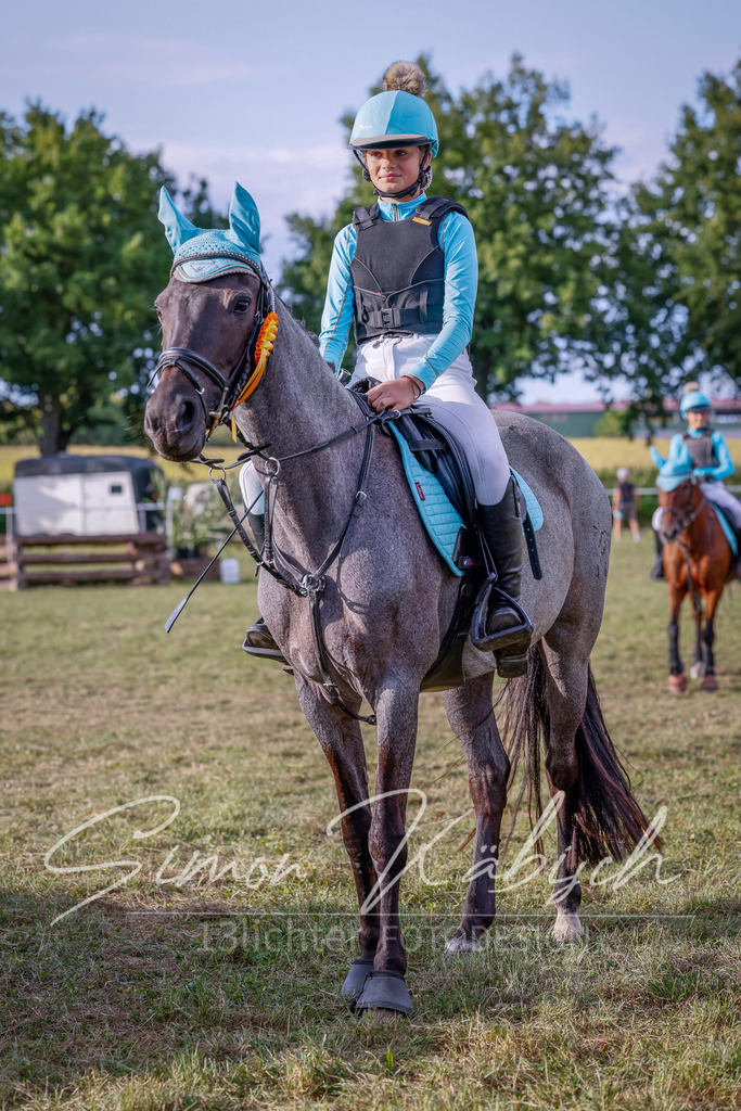 20250905-_3LI2395 | Tierfotografie Pferde, Hunde, Katzen, Haustiere.
Turnierfotografie Reitturniere, Reiten, Springreiten, Dressur in Hanau, dem Main-Kinzig-Kreis und dem Rhein-Main- Gebiet um Frankfurt