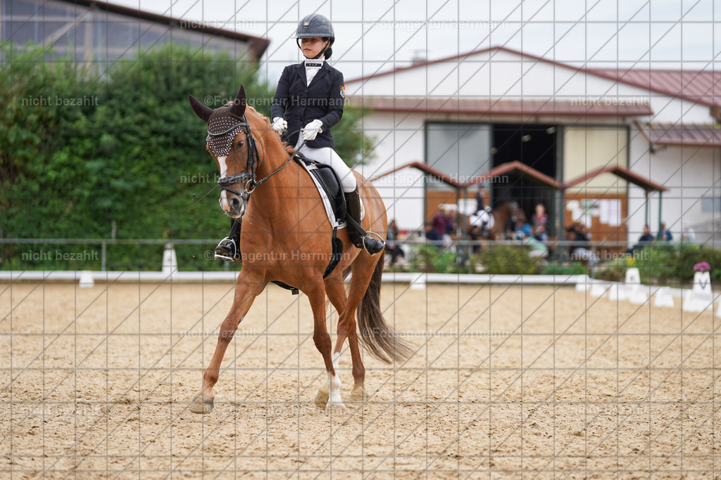 20240825-FAH09971 | Turnierbilder, Reitsportfotos, LAPO, Landesponyturnier, Turnierfotografen Bayern