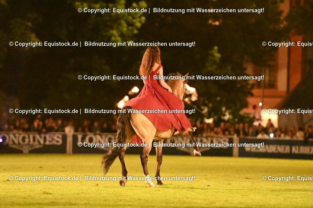 20230526_Pferdenacht_1379 | equistock