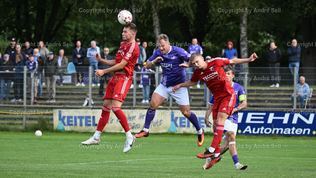 VfR Neumünster vs SpVg Eidertal Molfsee | Christopher Kramer (VfR #13) / Tobias Fölster (Molfsee #30) &amp; Meeno Bröker (Molfsee #37) - Fußball-Oberliga Männer 2024/2025 / VfR Neumünster vs SpVg Eidertal Molfsee / VfR-Stadion / Neumünster / 29.09.24 - Realisiert mit Pictrs.com