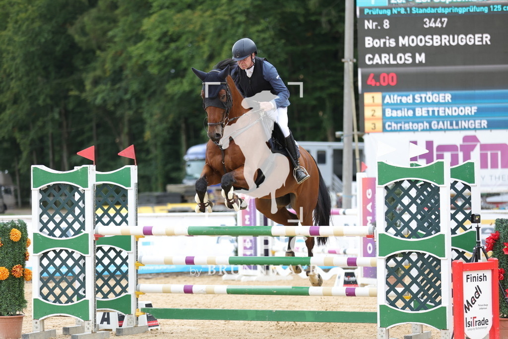 0P6A8162 | Willkommen bei Brunnmayr - Design & Fotografie – Ihrem Spezialisten für Reitturniere und Pferdeveranstaltungen in Oberösterreich, Salzburg und Bayern! Seit über 17 Jahren sind wir leidenschaftlich dabei.