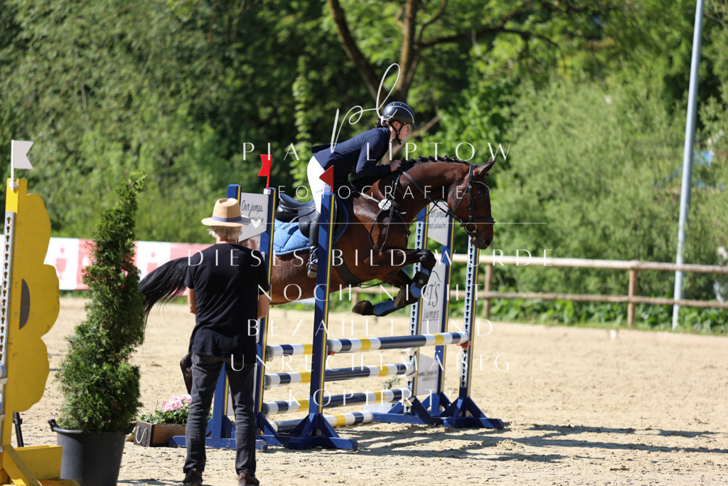 IMGS4841 | pl-fotografie