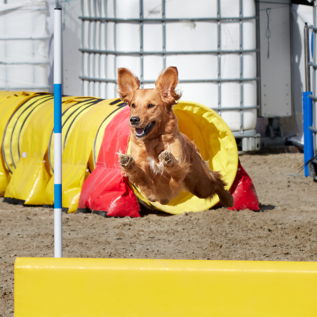 580B0102 | Peter Fridle Fotografie - Realisiert mit Pictrs.com