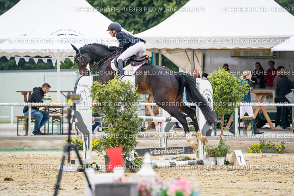 DSC00160 | Pferdegrafie