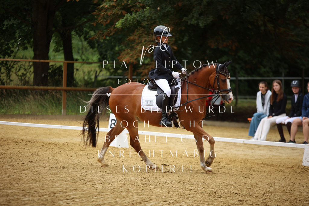 IMGM2595 | pl-fotografie