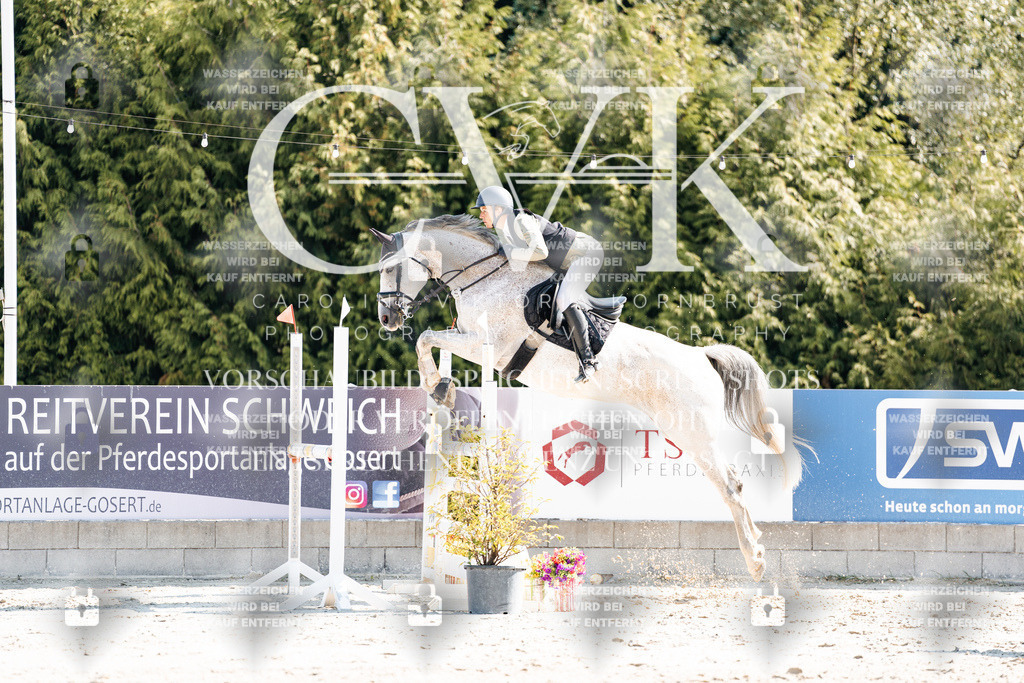 CK902554 | Turnierfotografie Pferdefotografie Trier Rheinland-Pfalz Pferdesport Reitsport Tierfotografie Sportfotografie Pferdevideo Pferdevideografie Equestrianvideography equestrianphotography  - Realisiert mit Pictrs.com
