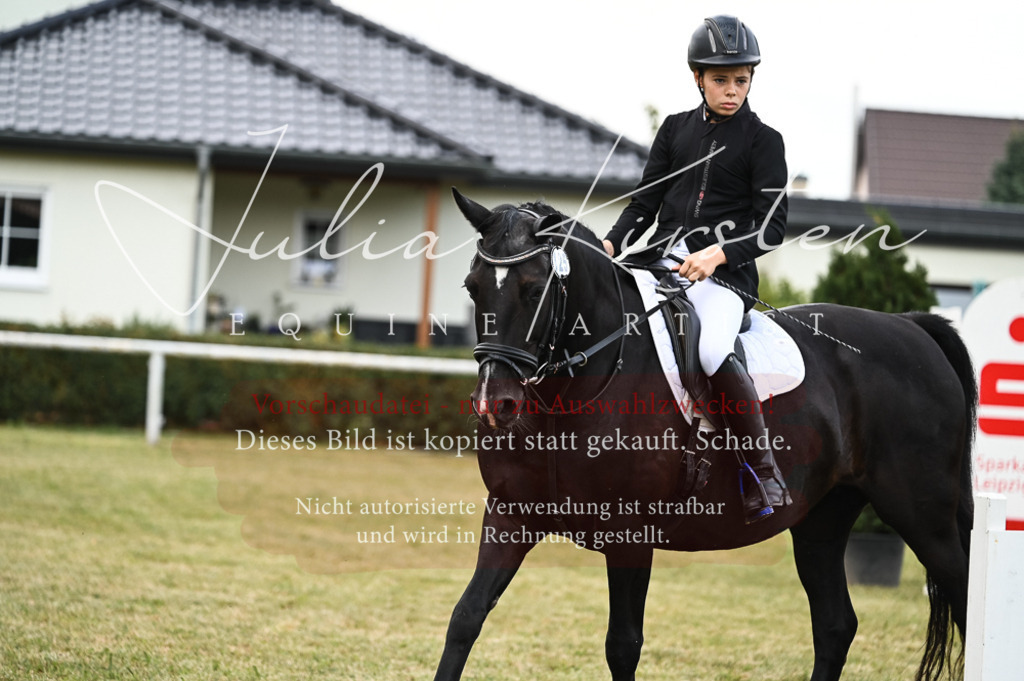 DSC_5722-2 | Pferde- und Turnierfotografie in Westsachsen. Pferdeportraits, Auftragszeichnungen und intuitive Kunst.