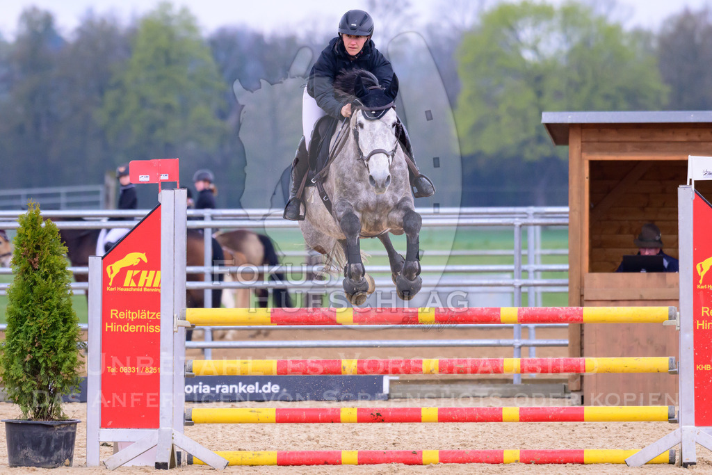 10042026-Mammendorf-Prfg16-0410 | Fokus Hufschlag Fotografie - Realisiert mit Pictrs.com
